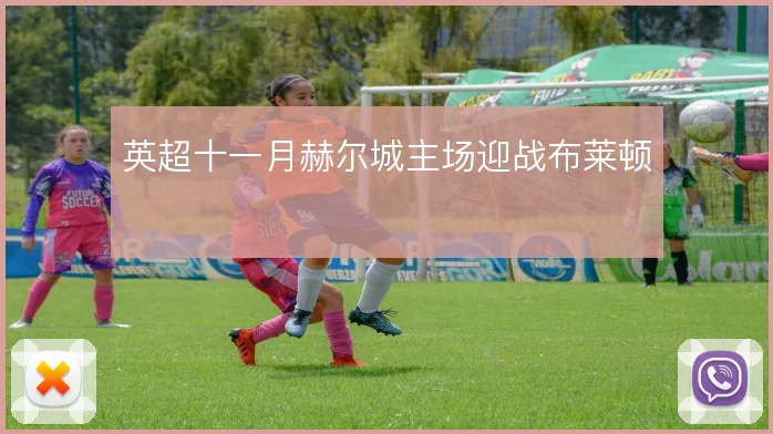 英超十一月赫尔城主场迎战布莱顿